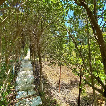 펜션 Ramo's Hilltop Retreat With Kitchenette And Patio - 1st Vlorë