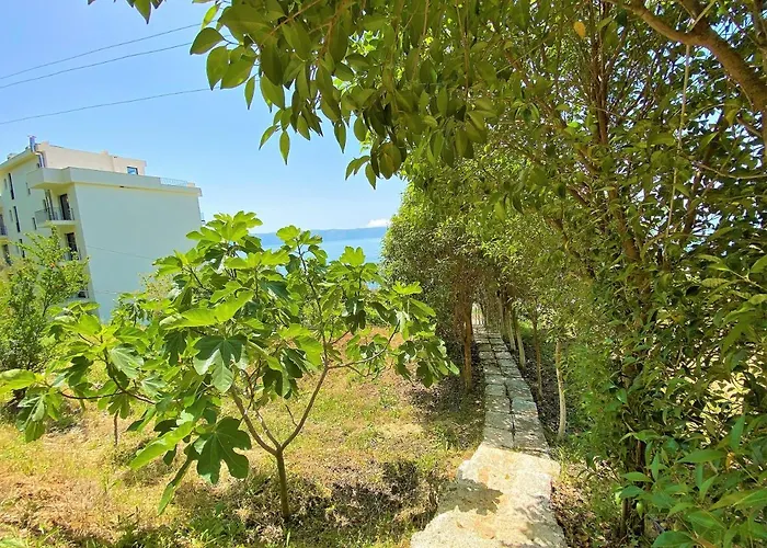 Ramo's Hilltop Retreat With Kitchenette And Patio - 1st Avlonya